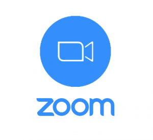 logo zoom